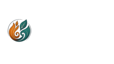 movementfestival.nl